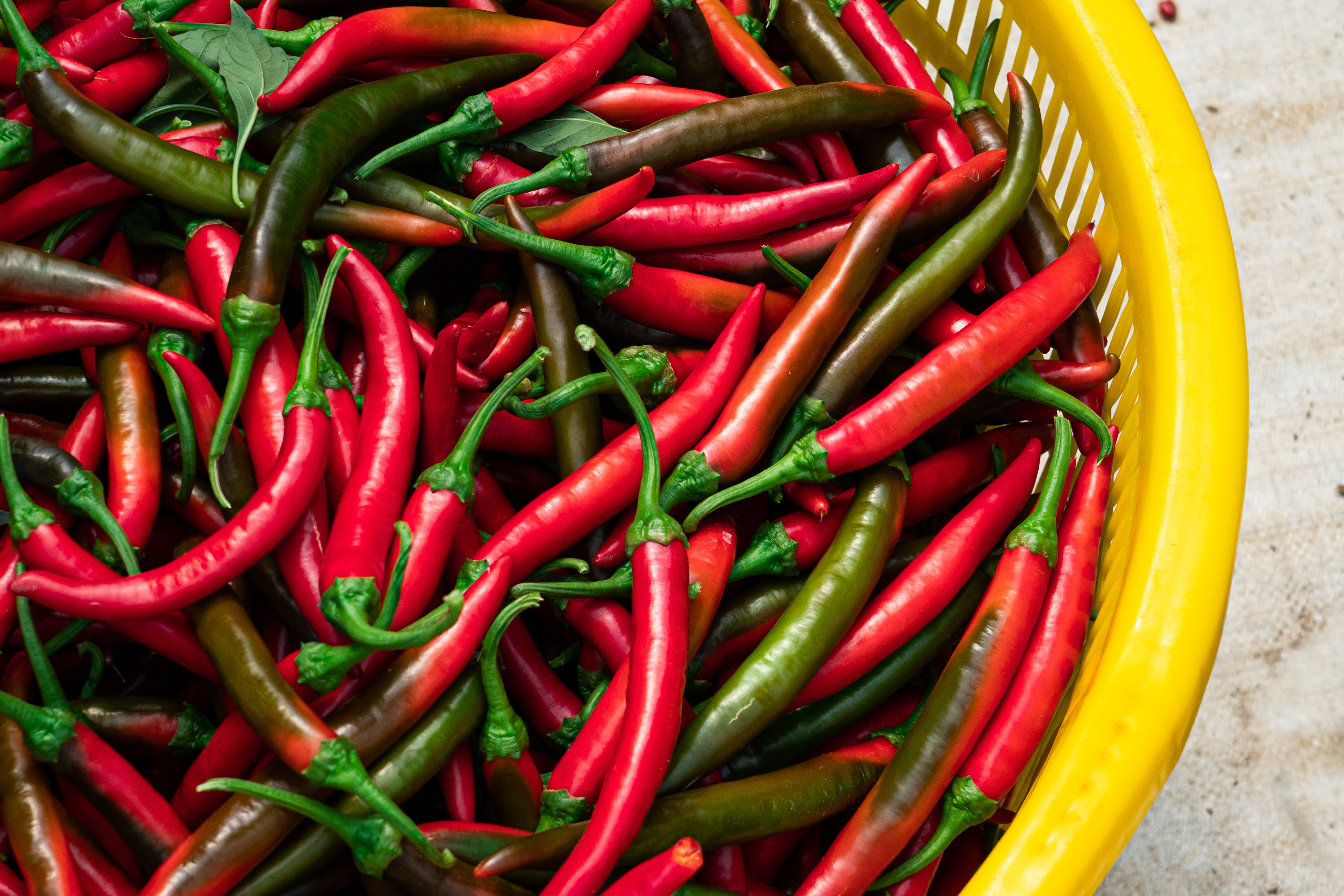 Harvested Chillis