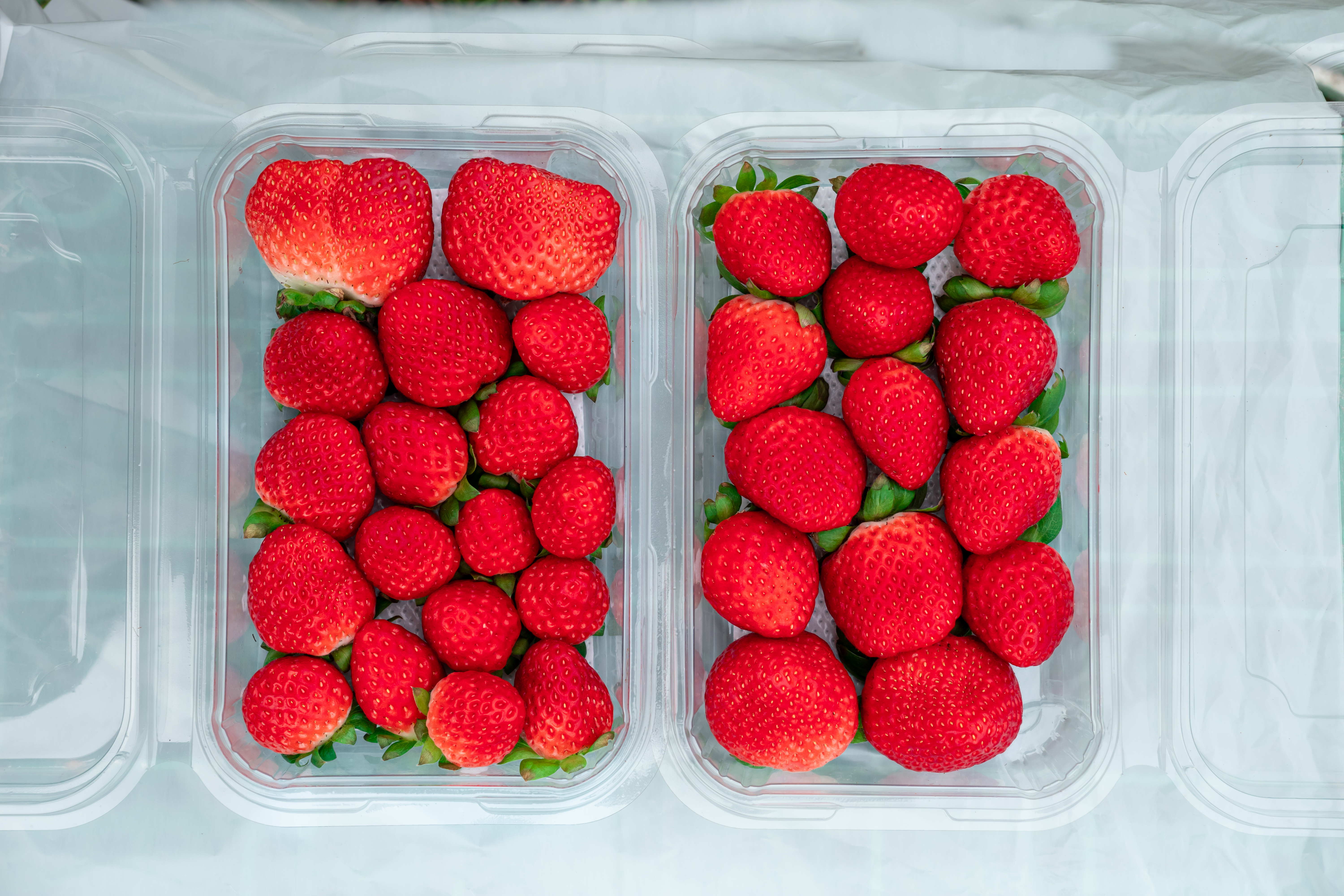 Delicious Strawberries