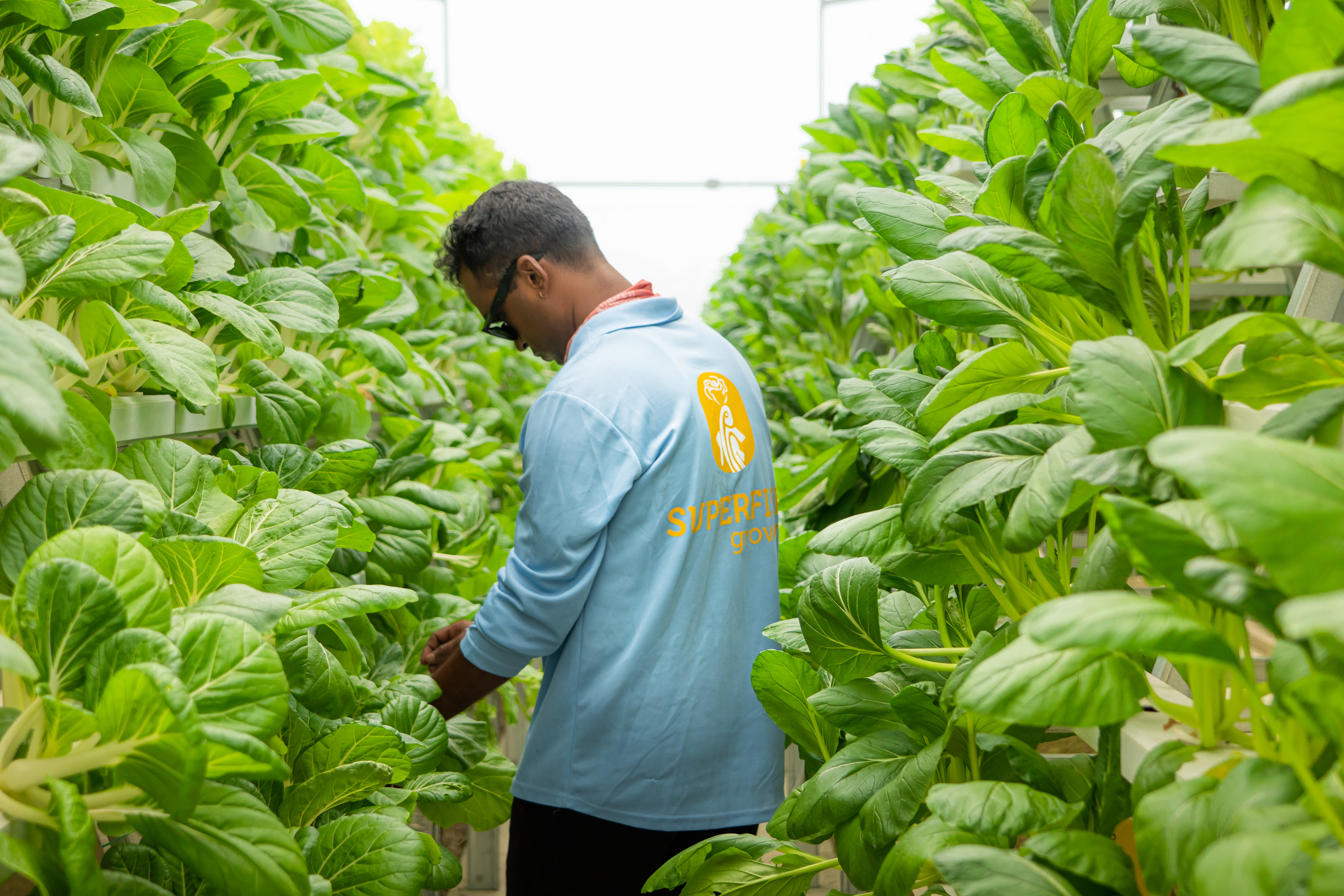 Agronomy Consultation